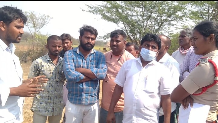 గోశాల లేకుండా అక్రమంగా గోవులను తరలింపు