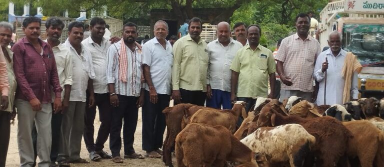 Special funds should be allocated for the development of Angadi