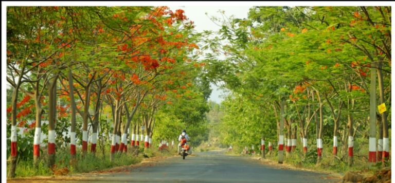 బీచ్ రాజ్ పల్లి హరిత సోయగం పై అసెంబ్లీ లో KTR ప్రశంస