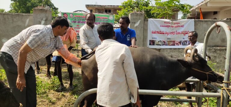 jangoan news