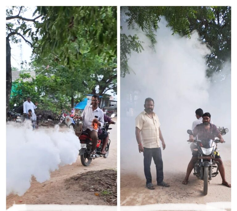 అంటు వ్యాధులు ప్రబలకుండా చర్యలు చేపట్టిన సర్పంచ్