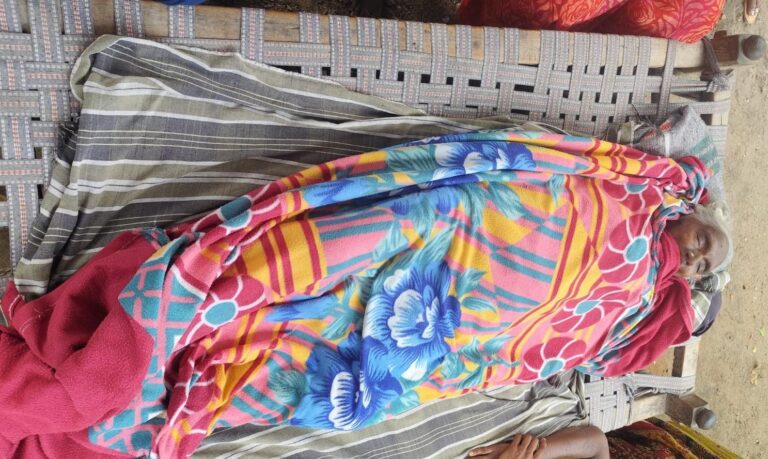 నందనం గ్రామంలో వడదెబ్బతో వృద్దురాలు మృతి