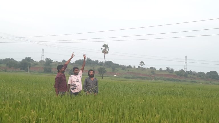 పామునూరు గ్రామంలో విద్యుత్ అధికారుల నిర్లక్ష్యం