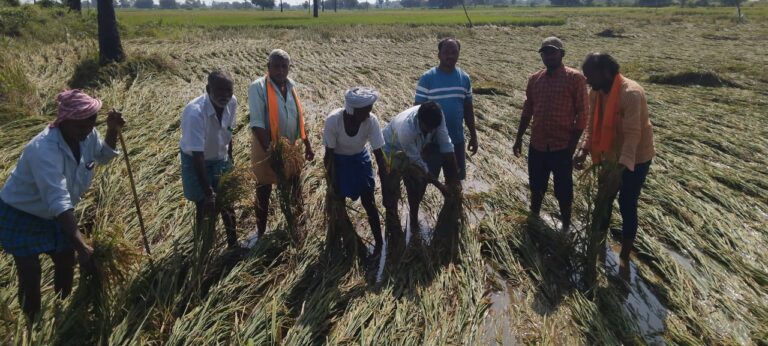 నష్టపోయిన రైతులను కచ్చితంగా నష్టపరిహారం