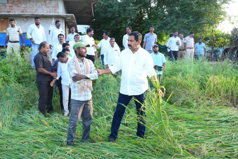 మొంథా తుఫాన్ వల్ల నష్టపోయిన రైతన్నలకు భరోసా