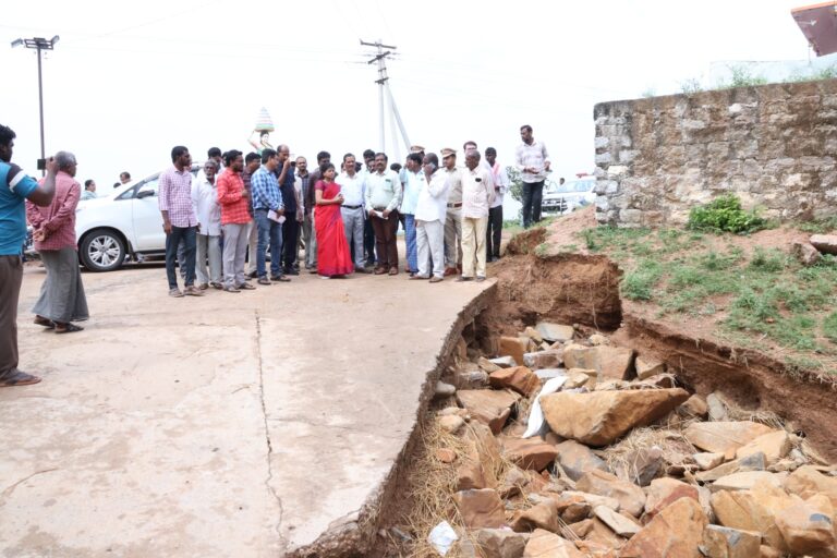 జిల్లా కలెక్టర్ స్నేహ శబరీష్