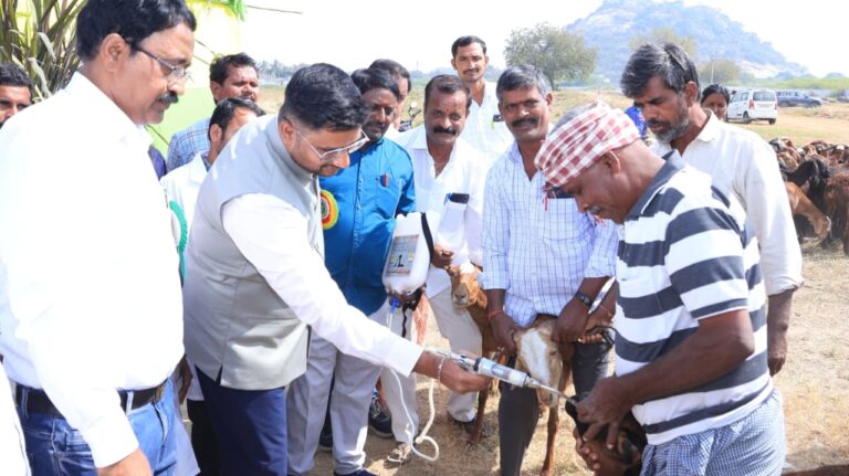 సమగ్ర పశు ఆరోగ్య సంరక్షణకు నట్టల నివారణ కార్యక్రమం