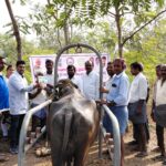 ఉచిత పశు వైద్య శిబిరం