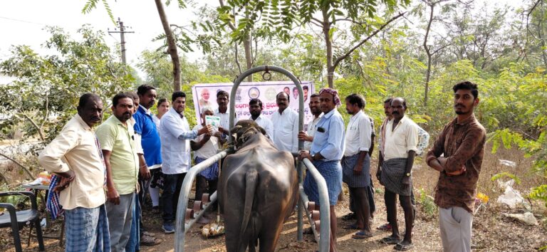 ఉచిత పశు వైద్య శిబిరం