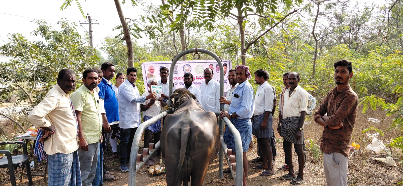 ఉచిత పశు వైద్య శిబిరం