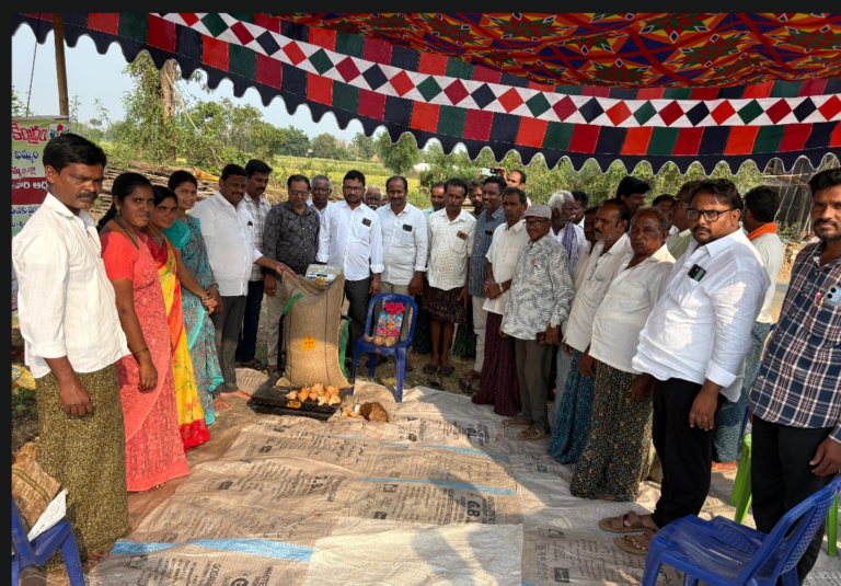 పలు గ్రామాలలో ధాన్యం కొనుగోలు కేంద్రాలు ఆరంభం