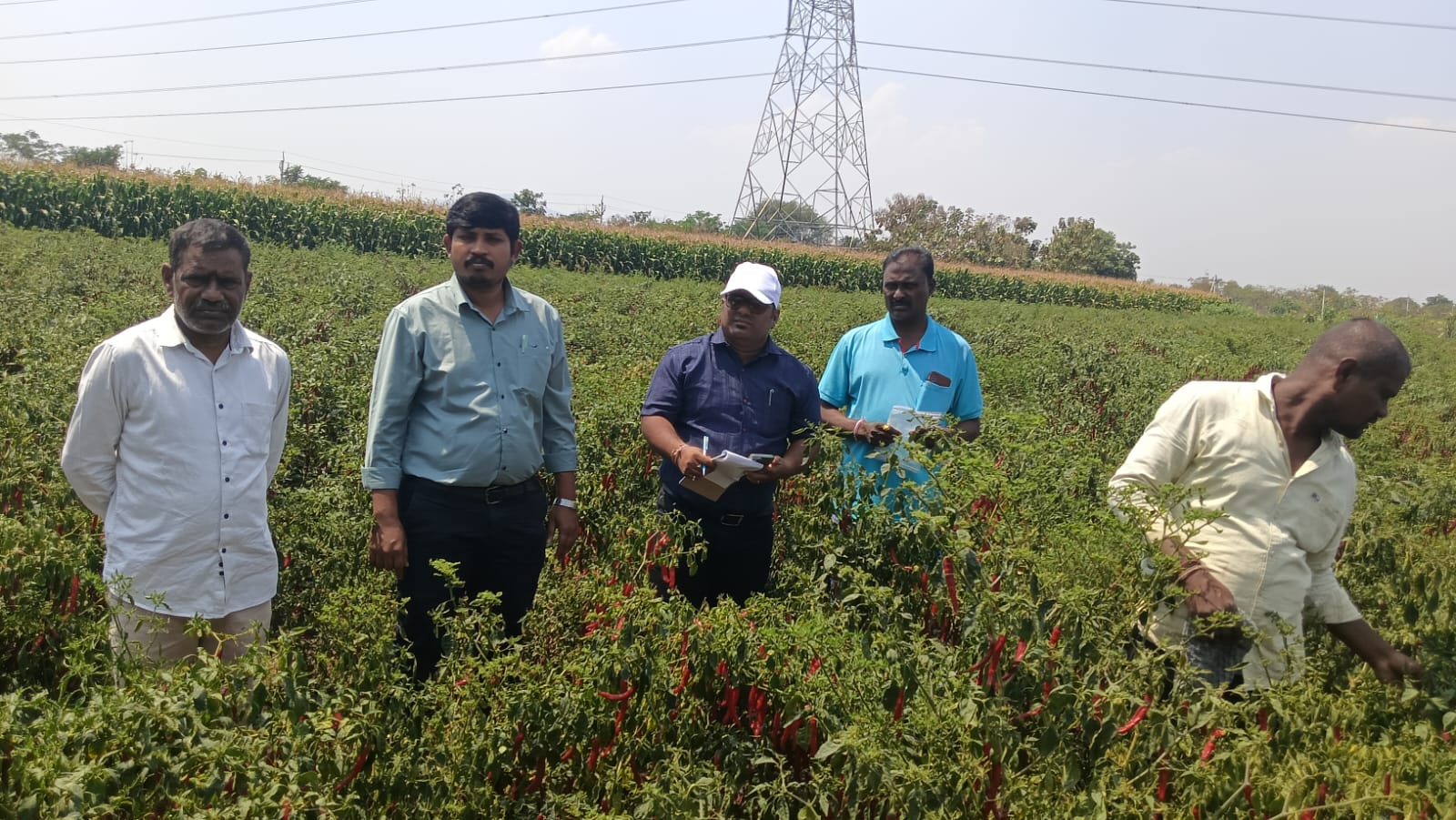 రైతులకు శాస్త్రీయ పద్ధతులపై అవగాహన