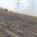 ప్రభుత్వం ఆదుకోకుంటే ఆత్మహత్య శరణ్యం అంటున్న రైతు కుటుంబం