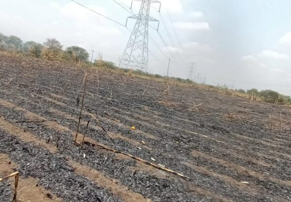 ప్రభుత్వం ఆదుకోకుంటే ఆత్మహత్య శరణ్యం అంటున్న రైతు కుటుంబం