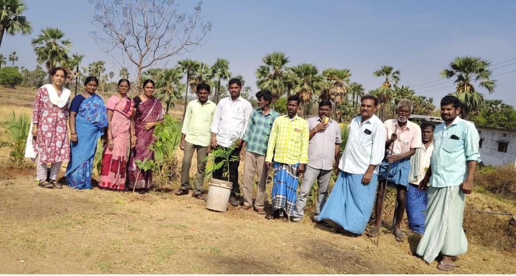 •​ప్రత్యేక గ్రామ సభలో పర్యావరణ పరిరక్షణపై సర్పంచ్ సయ్యద్ మౌలా పిలుపు