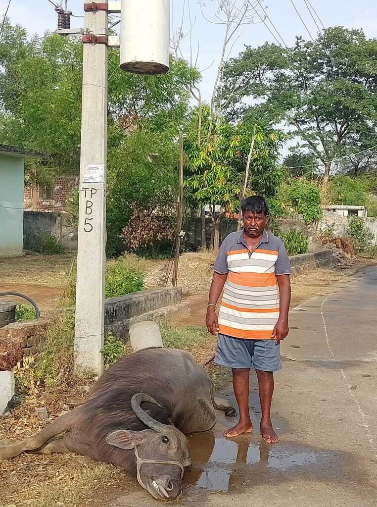 జీవనాధారం కోల్పోయిన రైతు