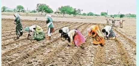 వాతావరణ అంచనాలు