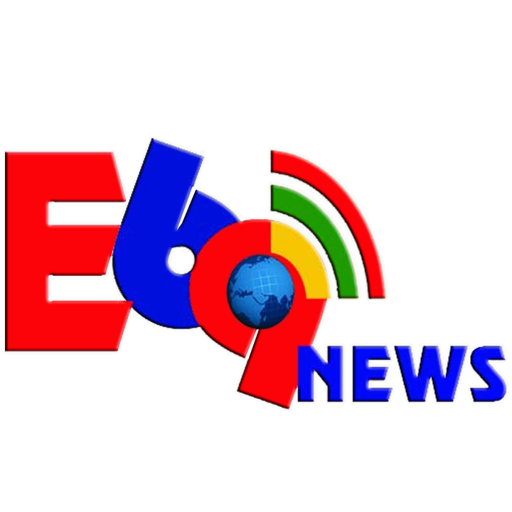 e69news logo stroke