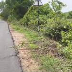 ప్రమాదకర రహదారికి శుభ పరిష్కారం – ప్రయాణికుల ప్రశంసలు