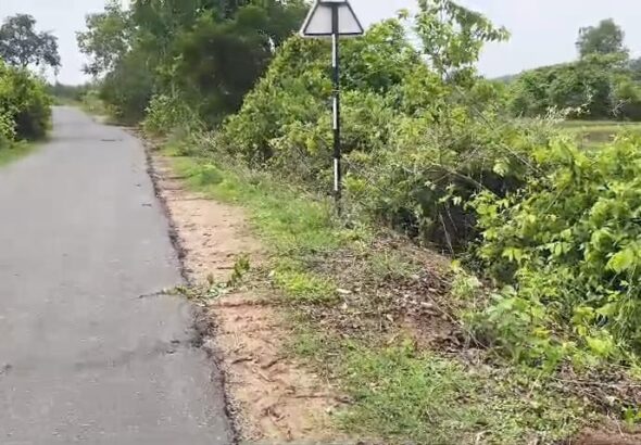 ప్రమాదకర రహదారికి శుభ పరిష్కారం – ప్రయాణికుల ప్రశంసలు