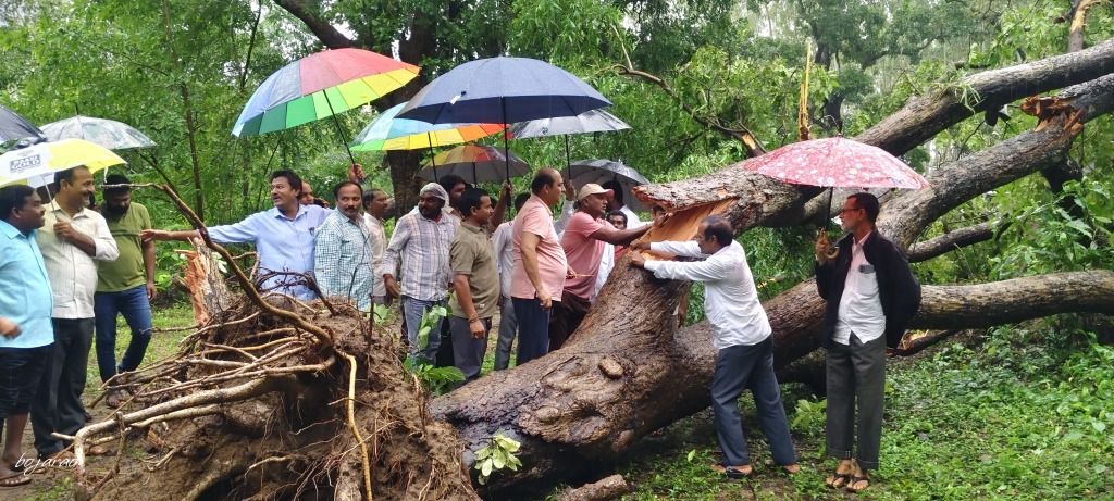 కోమటిపల్లి అడవిలో ప్రకృతి బీభత్సం