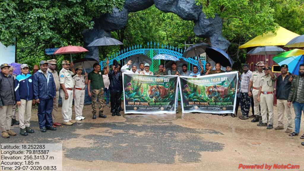 ఘనంగా 'అంతర్జాతీయ పెద్ద పులుల దినోత్సవం'