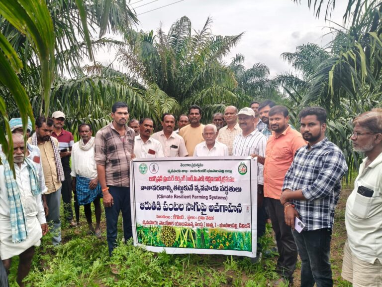 ఏవో వాసుదేవరెడ్డి